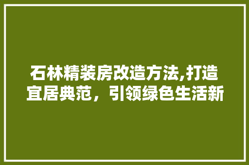 石林精装房改造方法,打造宜居典范，引领绿色生活新潮流