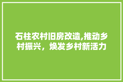石柱农村旧房改造,推动乡村振兴，焕发乡村新活力