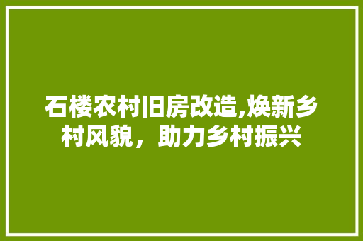 石楼农村旧房改造,焕新乡村风貌，助力乡村振兴