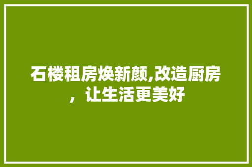 石楼租房焕新颜,改造厨房，让生活更美好