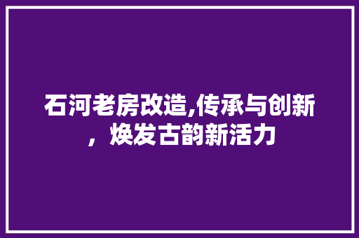 石河老房改造,传承与创新，焕发古韵新活力