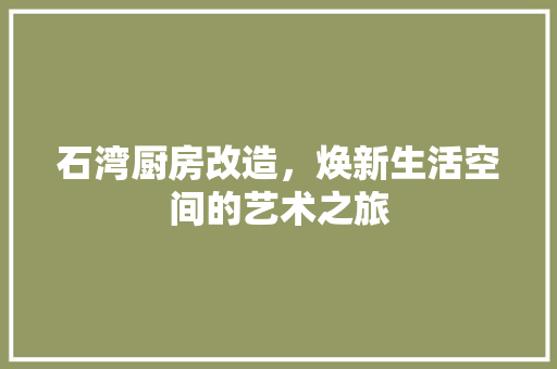 石湾厨房改造，焕新生活空间的艺术之旅