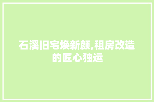 石溪旧宅焕新颜,租房改造的匠心独运