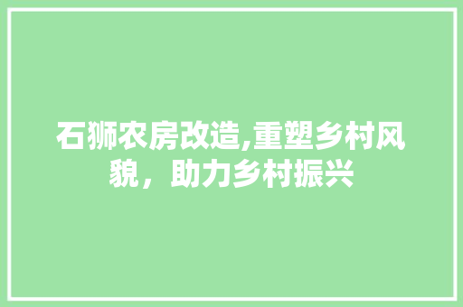石狮农房改造,重塑乡村风貌，助力乡村振兴 家电维修