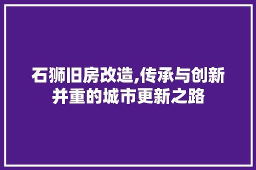 石狮旧房改造,传承与创新并重的城市更新之路