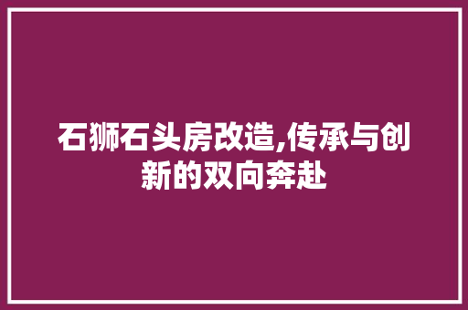 石狮石头房改造,传承与创新的双向奔赴