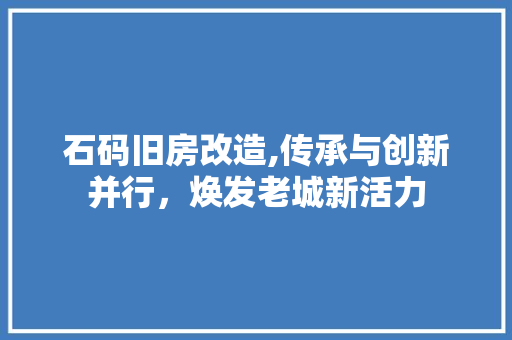 石码旧房改造,传承与创新并行，焕发老城新活力
