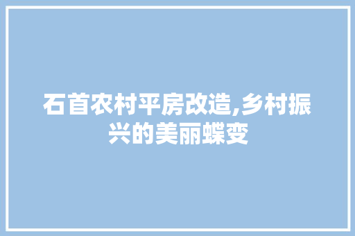 石首农村平房改造,乡村振兴的美丽蝶变