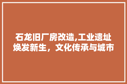 石龙旧厂房改造,工业遗址焕发新生，文化传承与城市发展的和谐共鸣 墙体维修