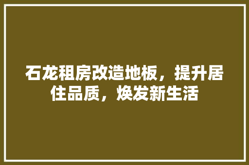 石龙租房改造地板，提升居住品质，焕发新生活 厨房维修