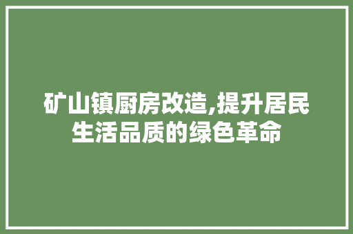 矿山镇厨房改造,提升居民生活品质的绿色革命