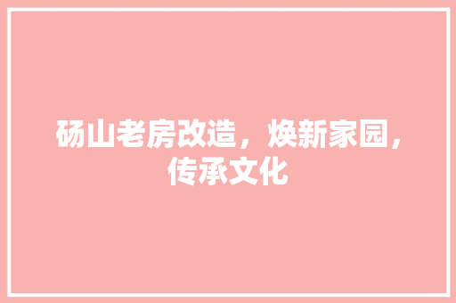 砀山老房改造，焕新家园，传承文化