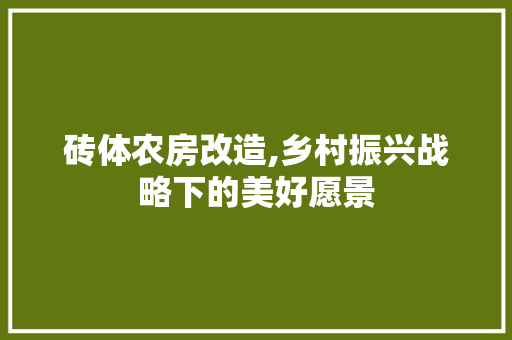 砖体农房改造,乡村振兴战略下的美好愿景