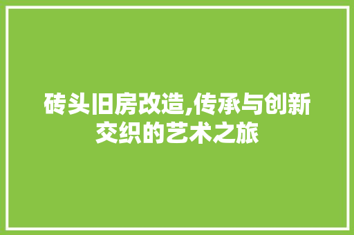 砖头旧房改造,传承与创新交织的艺术之旅 汽车维修