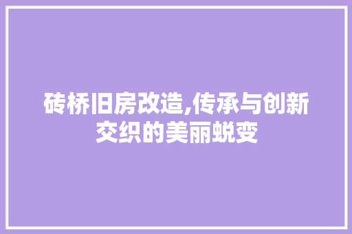 砖桥旧房改造,传承与创新交织的美丽蜕变 家电维修