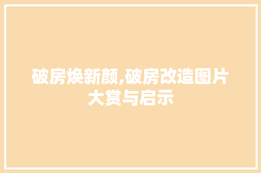 破房焕新颜,破房改造图片大赏与启示