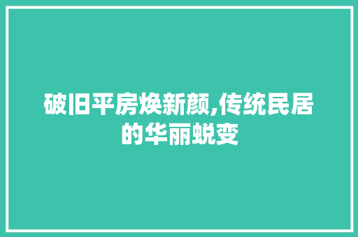 破旧平房焕新颜,传统民居的华丽蜕变