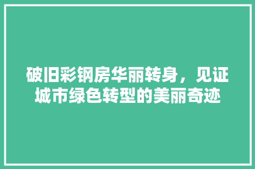 破旧彩钢房华丽转身，见证城市绿色转型的美丽奇迹