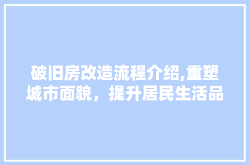 破旧房改造流程介绍,重塑城市面貌，提升居民生活品质