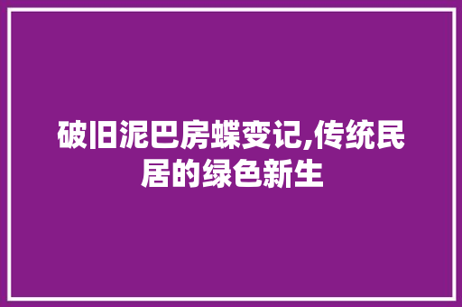 破旧泥巴房蝶变记,传统民居的绿色新生