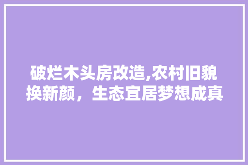 破烂木头房改造,农村旧貌换新颜，生态宜居梦想成真