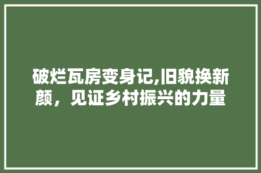 破烂瓦房变身记,旧貌换新颜，见证乡村振兴的力量