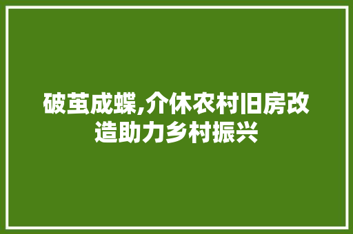 破茧成蝶,介休农村旧房改造助力乡村振兴