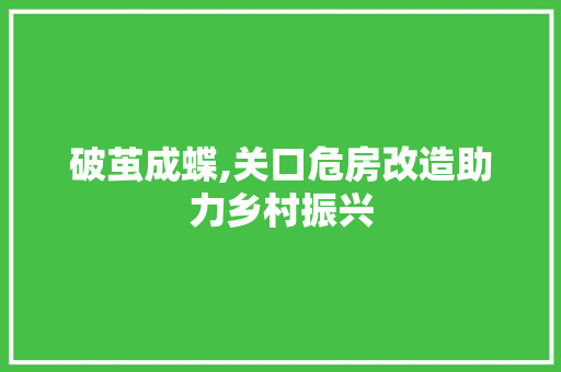 破茧成蝶,关口危房改造助力乡村振兴