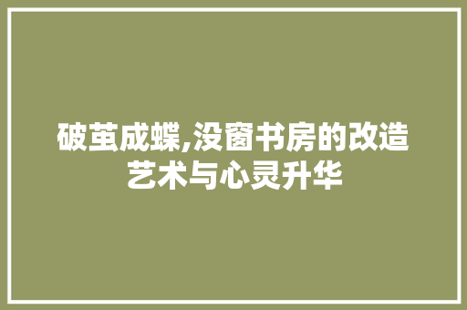 破茧成蝶,没窗书房的改造艺术与心灵升华