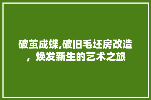 破茧成蝶,破旧毛坯房改造，焕发新生的艺术之旅