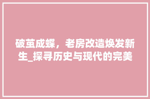 破茧成蝶，老房改造焕发新生_探寻历史与现代的完美交融 厨房维修