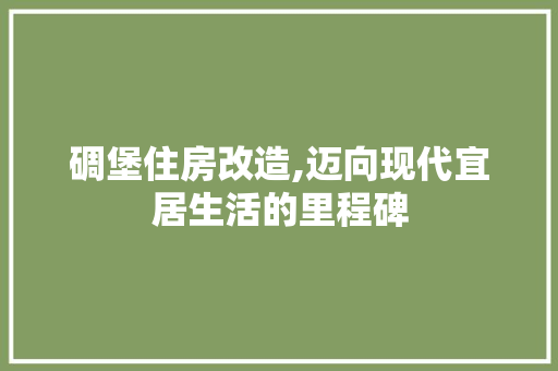 碉堡住房改造,迈向现代宜居生活的里程碑