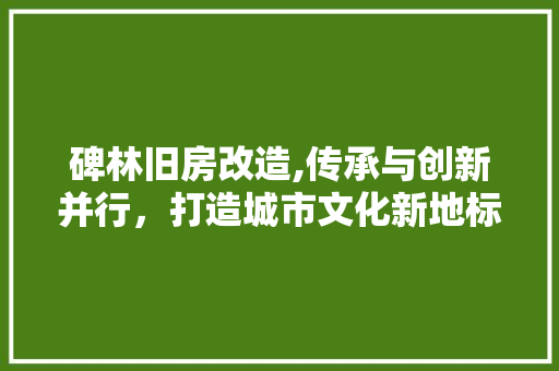 碑林旧房改造,传承与创新并行，打造城市文化新地标