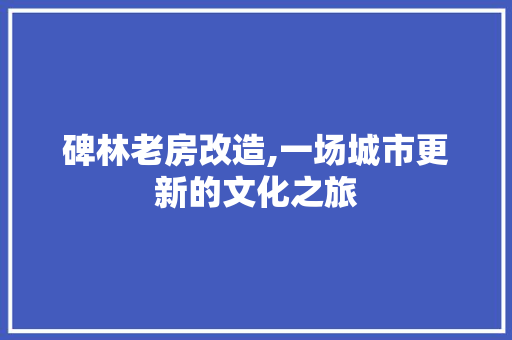 碑林老房改造,一场城市更新的文化之旅