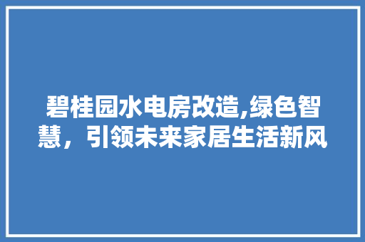 碧桂园水电房改造,绿色智慧，引领未来家居生活新风尚
