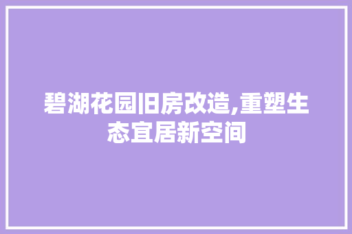 碧湖花园旧房改造,重塑生态宜居新空间 厨房维修