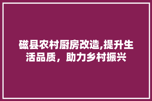 磁县农村厨房改造,提升生活品质，助力乡村振兴 厨房维修