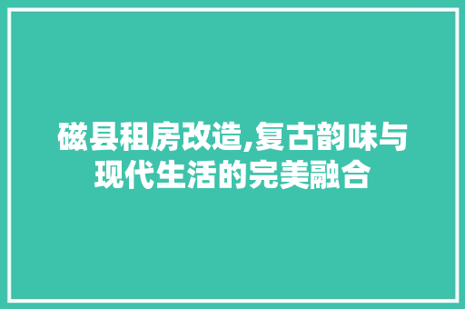 磁县租房改造,复古韵味与现代生活的完美融合 综合便民