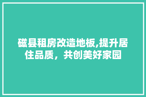 磁县租房改造地板,提升居住品质，共创美好家园 厨房维修
