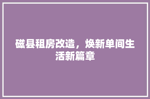 磁县租房改造，焕新单间生活新篇章