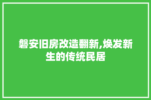 磐安旧房改造翻新,焕发新生的传统民居