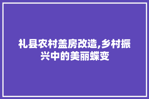 礼县农村盖房改造,乡村振兴中的美丽蝶变