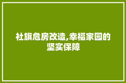 社旗危房改造,幸福家园的坚实保障
