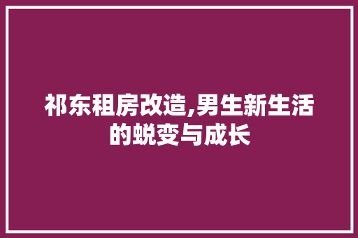 祁东租房改造,男生新生活的蜕变与成长