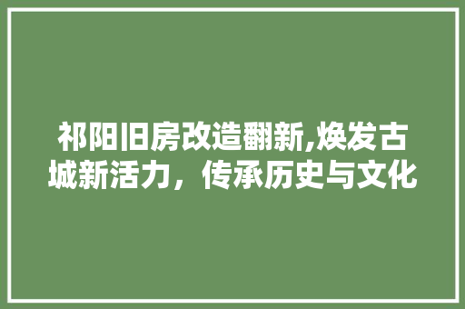 祁阳旧房改造翻新,焕发古城新活力，传承历史与文化