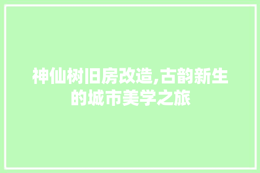 神仙树旧房改造,古韵新生的城市美学之旅