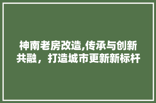 神南老房改造,传承与创新共融，打造城市更新新标杆