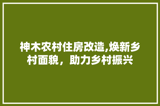 神木农村住房改造,焕新乡村面貌，助力乡村振兴