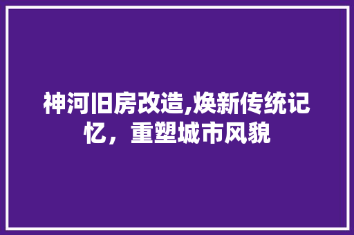 神河旧房改造,焕新传统记忆，重塑城市风貌