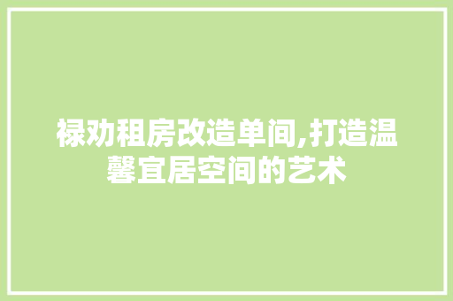 禄劝租房改造单间,打造温馨宜居空间的艺术 厨房维修
